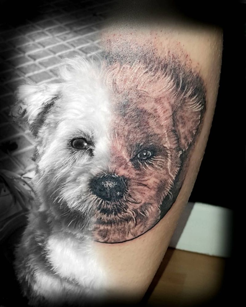 Retrato de perro: mitad fotografía, mitad tatuaje