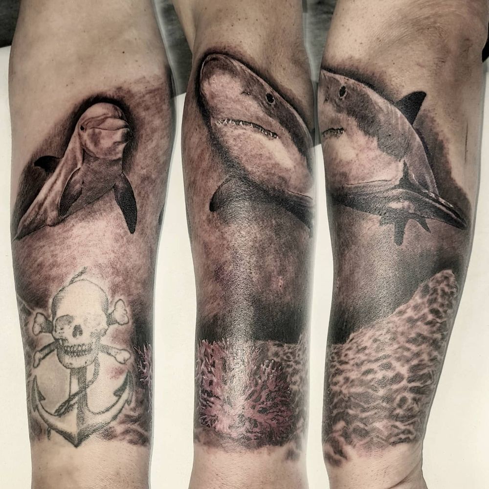Tiburones en negro y gris